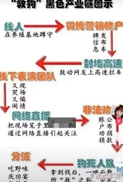 黑料网：最新进展揭示其背后复杂的运营模式与影响力，行业反响热烈引发广泛关注