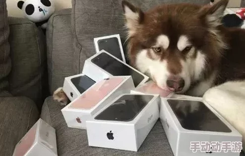 爆炒通感双胞胎小狗：网友热议这对萌宠的神奇默契，竟能同时做出相同动作引发全网围观！