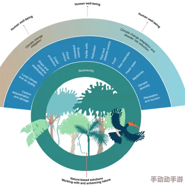 中国野外mgdrcc：深入了解这一重要研究项目对生态保护与生物多样性维护的深远影响与意义