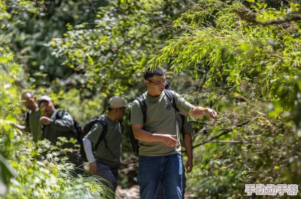 中国野外mgdrcc：深入了解这一重要研究项目对生态保护与生物多样性维护的深远影响与意义