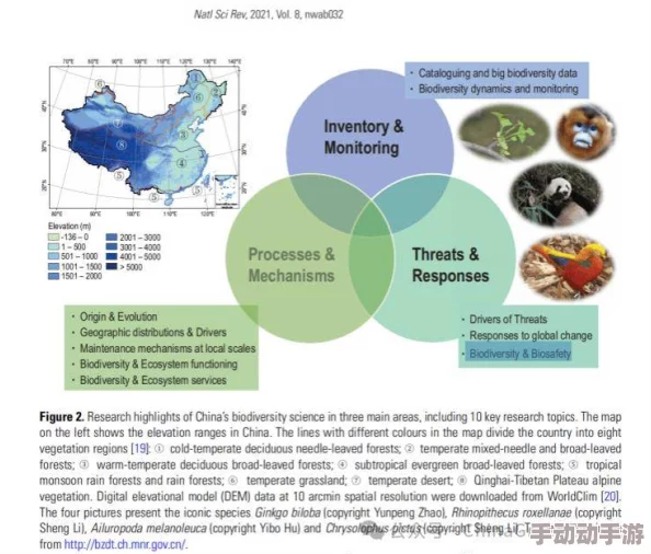 中国野外mgdrcc：深入了解这一重要研究项目对生态保护与生物多样性维护的深远影响与意义