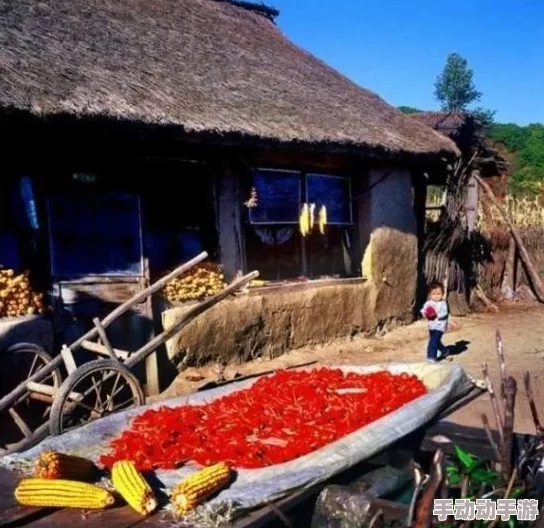 东北大坑乱1—50乡村欲爱：在自然与人文交融中感受乡村振兴的魅力与挑战