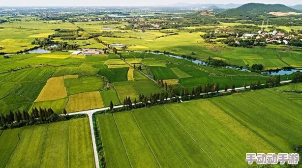 东北大坑乱1—50乡村欲爱：在自然与人文交融中感受乡村振兴的魅力与挑战