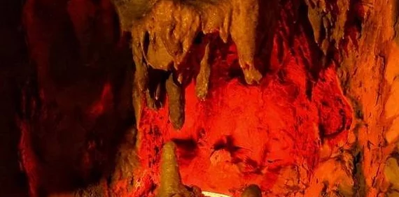 福伦找到紫薇在山洞里发现蛇咬，竟然是因为她与神秘男子的约会被打断，引发众人热议！