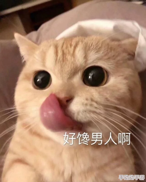 问道手游平民玩家金币速刷秘籍：高效策略与实战技巧全解析