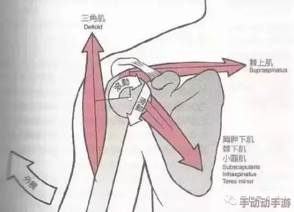 潮吹系列：解析潮吹现象的生理机制与文化影响，重新审视性教育中的相关知识与观念