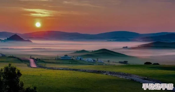 野花视频日本：最新动态与观众反响，带你领略自然之美与文化交融的奇妙旅程