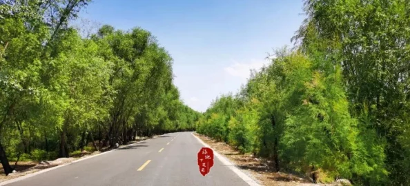 野花视频日本：最新动态与观众反响，带你领略自然之美与文化交融的奇妙旅程