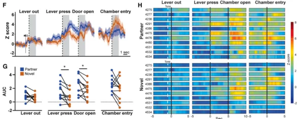 色秘 乱码一区二区三区mba：最新研究揭示色彩与情感之间的深刻联系及其在商业中的应用潜力
