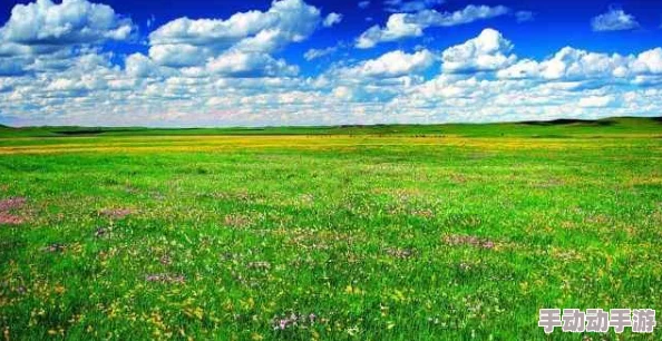 野花社区：推动社区发展与居民参与，构建和谐共生的美好家园新进展