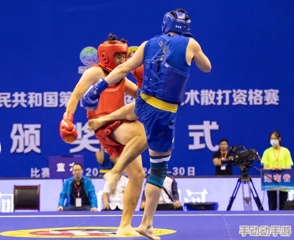 雷电将军腿法脚法娴熟人民网：浅析其在战斗中的应用与传承，探讨技巧背后的历史与文化意义