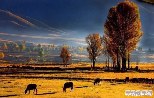 小草神吃旅行者坤吧：探讨旅行者与自然的和谐共生以及草地神秘传说的文化意义