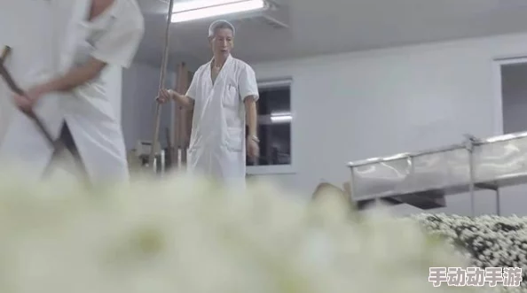 私房厕拍：揭示隐秘空间中的文化现象与社会影响，探讨其背后的心理与伦理问题