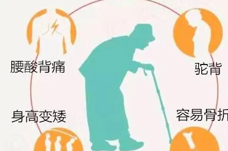 老太太性bbwbbwbbw:探讨老年人性需求与健康关系的重要性及社会观念的变化 老太太性bbwbbwbbw:探讨老年人性需求与健康关系的重要性及社会观念的变化