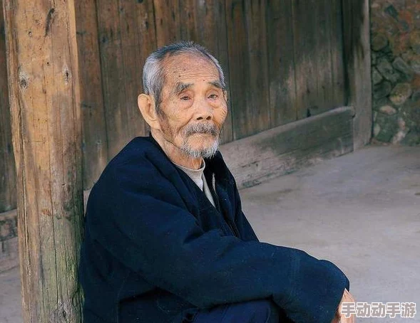老村长Gay老人456老头：关于乡村老年人生活状况的社会研究与文化传承的思考