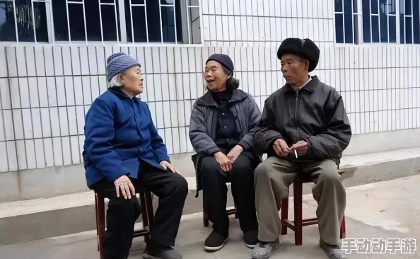 老村长Gay老人456老头：关于乡村老年人生活状况的社会研究与文化传承的思考