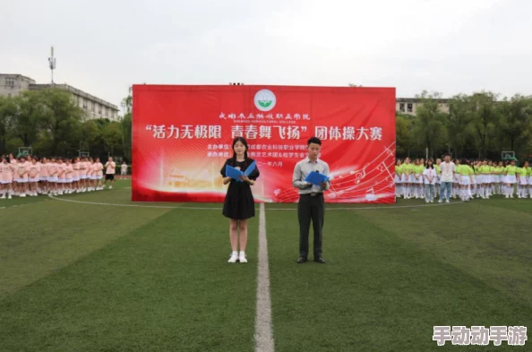 高中比赛盛轮轩：各校选手激烈角逐，展现青春风采与团队精神的精彩瞬间