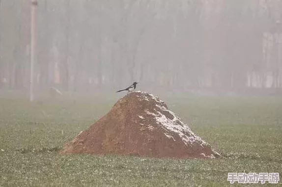 《天下英雄》手游萌新成长攻略：老玩家亲授独家秘籍，从零到高手的蜕变之旅