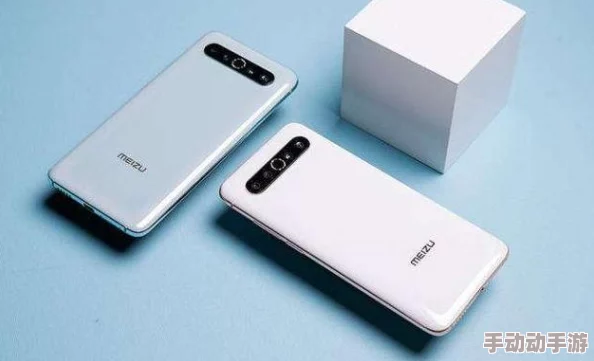 xxxx.69：最新进展揭示了该项目在技术创新和市场应用方面的重要突破与未来发展方向