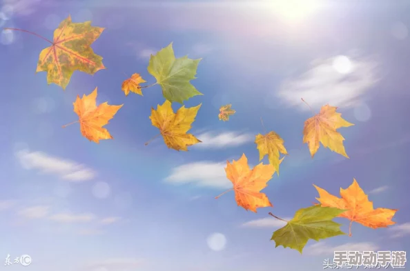 国产电影一曲二曲三曲：传闻某知名导演将参与拍摄，或引发影迷热议与期待！